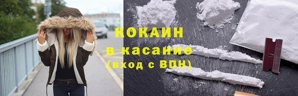 круглые Гусев