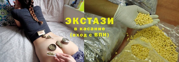 круглые Гусев