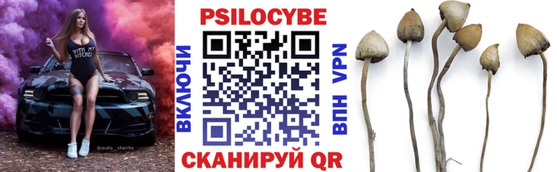 OMG рабочий сайт  купить  сайты  Дрезна  Галлюциногенные грибы прущие грибы 